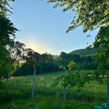 公寓 Andante Tekija (Bor)