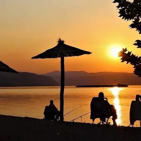 Andante * Tekija (Bor)