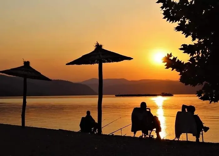 Andante * Tekija (Bor)